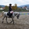 bABIE lATO 2018